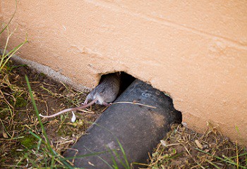  leidingen-kruimpruimte